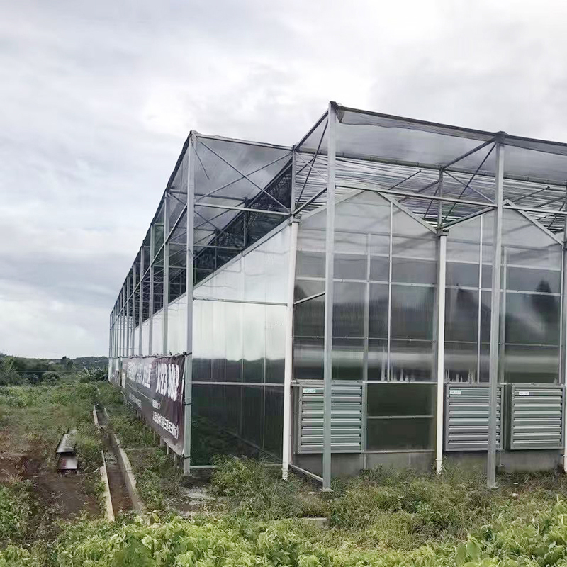 Kit de invernadero portátil de plástico de 15 x 7 x 7 pies, invernadero  grande, marco de acero resistente, plantas de jardinería, túnel de  invernadero
